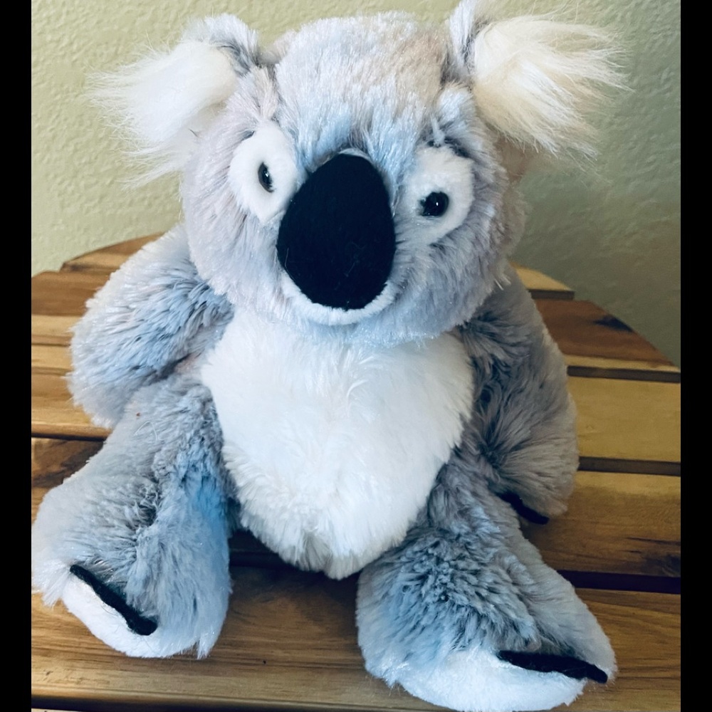 Ganz Koala Bear, Small 8 in. - Picture 1 of 4
